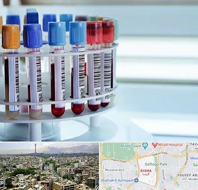 آزمایشگاه ژنتیک در گیشا