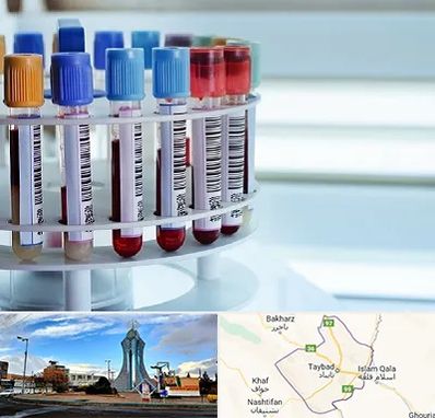 آزمایشگاه ژنتیک در تایباد