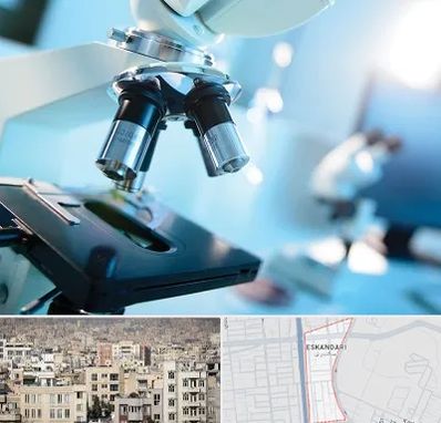 آزمایشگاه فوق تخصصی در اسکندری