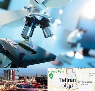 آزمایشگاه فوق تخصصی در صادقیه