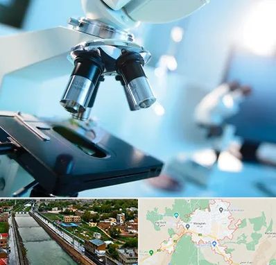 آزمایشگاه فوق تخصصی در مراغه