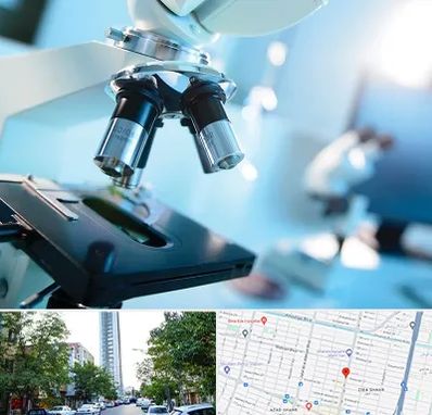 آزمایشگاه فوق تخصصی در امامت مشهد