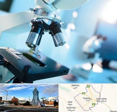 آزمایشگاه فوق تخصصی در تایباد