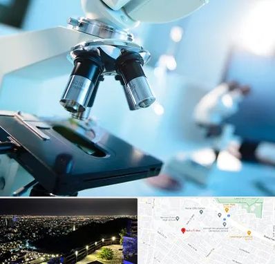 آزمایشگاه فوق تخصصی در هفت تیر مشهد