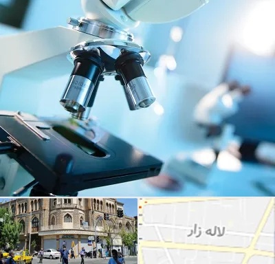 آزمایشگاه فوق تخصصی در لاله زار