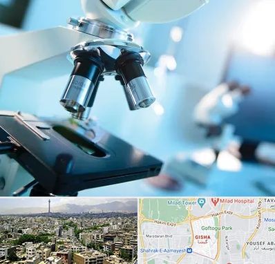 آزمایشگاه فوق تخصصی در گیشا