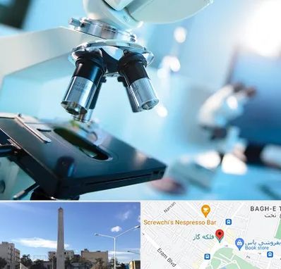 آزمایشگاه فوق تخصصی در فلکه گاز شیراز