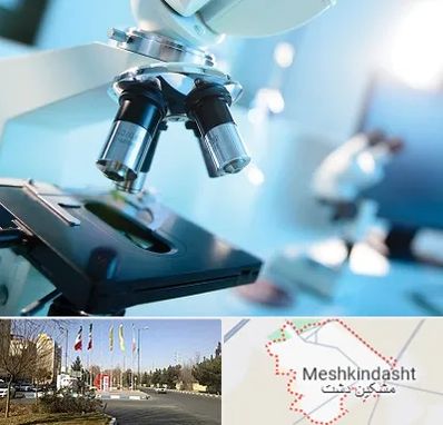 آزمایشگاه فوق تخصصی در مشکین دشت
