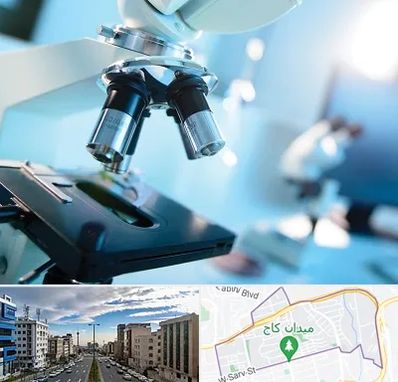 آزمایشگاه فوق تخصصی در سعادت آباد