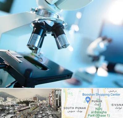 آزمایشگاه فوق تخصصی در پونک