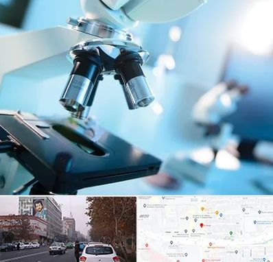 آزمایشگاه فوق تخصصی در کارگر شمالی