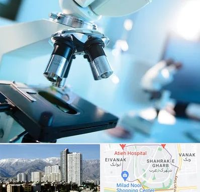 آزمایشگاه فوق تخصصی در شهرک غرب