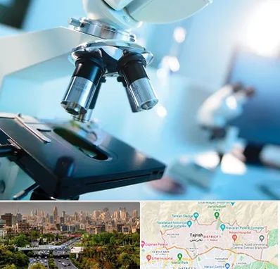 آزمایشگاه فوق تخصصی در منطقه 1 تهران