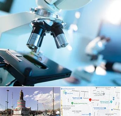 آزمایشگاه فوق تخصصی در کارگر جنوبی