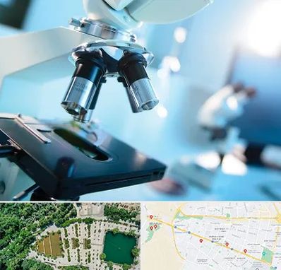 آزمایشگاه فوق تخصصی در وکیل آباد مشهد