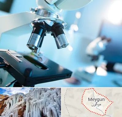 آزمایشگاه فوق تخصصی در میگون