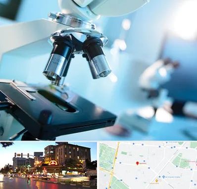 آزمایشگاه فوق تخصصی در بلوار سجاد مشهد