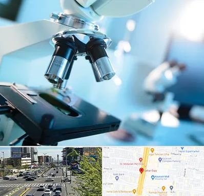 آزمایشگاه فوق تخصصی در ستاری