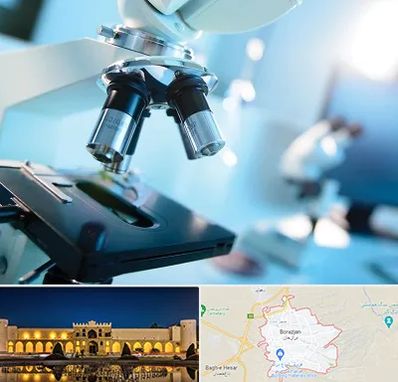 آزمایشگاه فوق تخصصی در برازجان