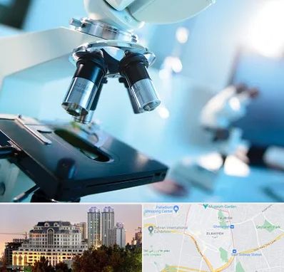 آزمایشگاه فوق تخصصی در فرشته