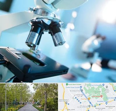 آزمایشگاه فوق تخصصی در قدوسی غربی شیراز