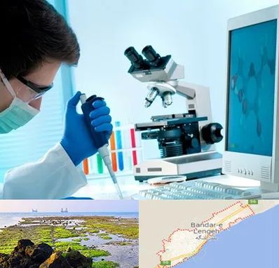آزمایشگاه پاتوبیولوژی در بندرلنگه