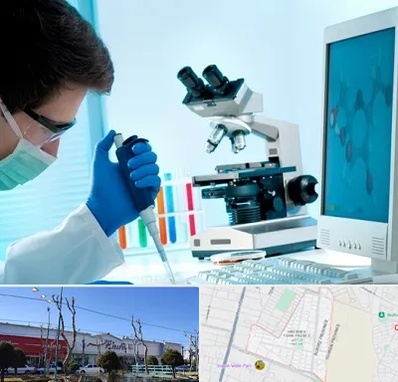 آزمایشگاه پاتوبیولوژی در فاز دو اندیشه