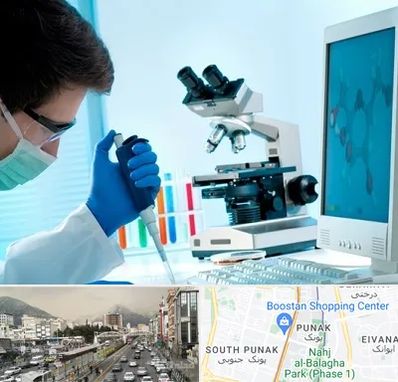 آزمایشگاه پاتوبیولوژی در پونک