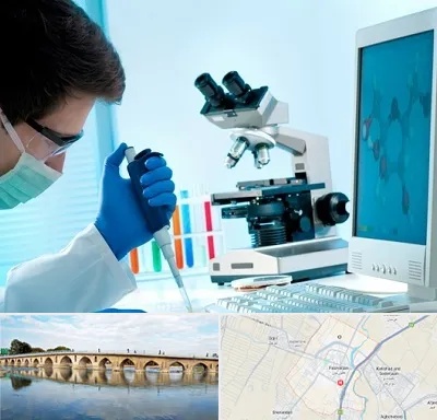 آزمایشگاه پاتوبیولوژی در فلاورجان