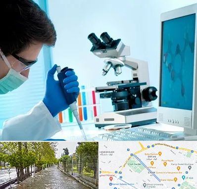 آزمایشگاه پاتوبیولوژی در خیابان ارم شیراز