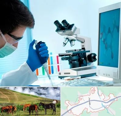 آزمایشگاه پاتوبیولوژی در تالش