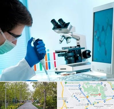 آزمایشگاه پاتوبیولوژی در قدوسی غربی شیراز