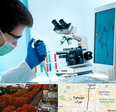 آزمایشگاه پاتوبیولوژی در ولیعصر