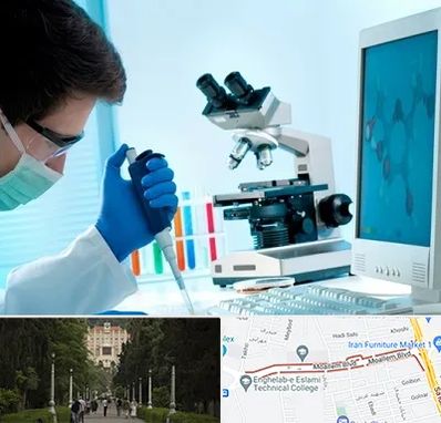 آزمایشگاه پاتوبیولوژی در بلوار معلم رشت