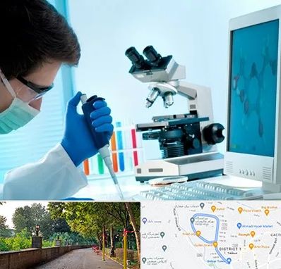 آزمایشگاه پاتوبیولوژی در فلکه گاز رشت