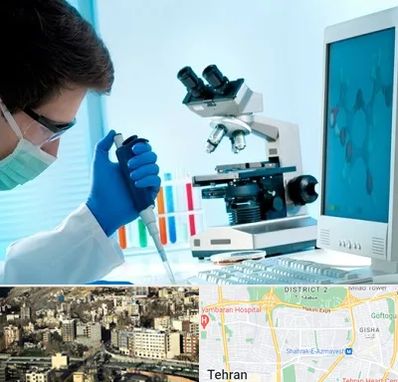 آزمایشگاه پاتوبیولوژی در مرزداران