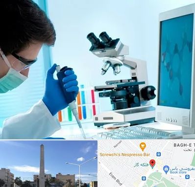 آزمایشگاه پاتوبیولوژی در فلکه گاز شیراز