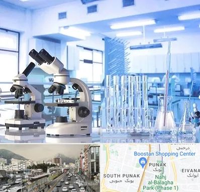 آزمایشگاه تشخیص اعتیاد در پونک