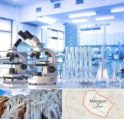 آزمایشگاه تشخیص اعتیاد در میگون