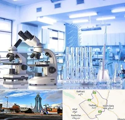 آزمایشگاه تشخیص اعتیاد در تایباد