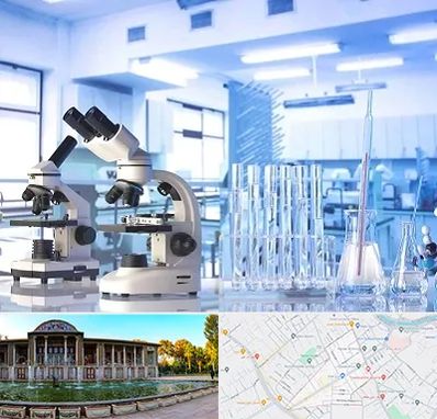آزمایشگاه تشخیص اعتیاد در عفیف آباد شیراز