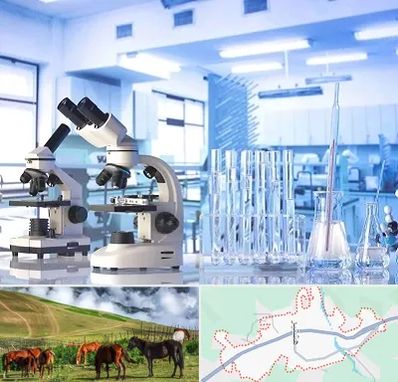 آزمایشگاه تشخیص اعتیاد در تالش
