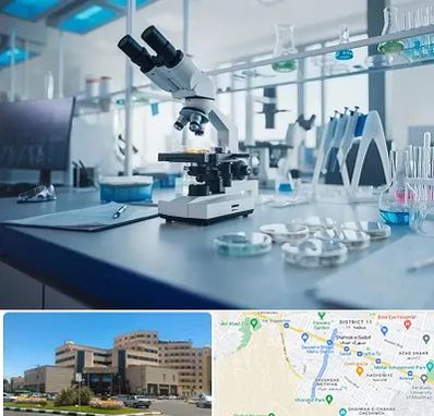 آزمایشگاه تیروئید در صیاد شیرازی مشهد