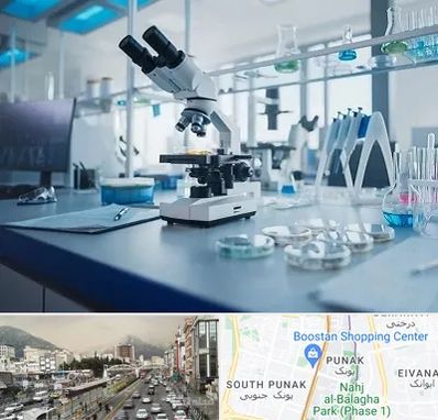 آزمایشگاه تیروئید در پونک