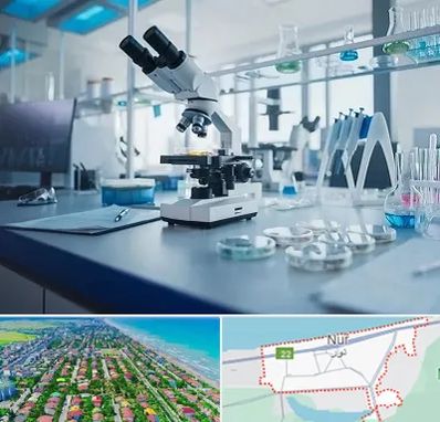 آزمایشگاه تیروئید در نور