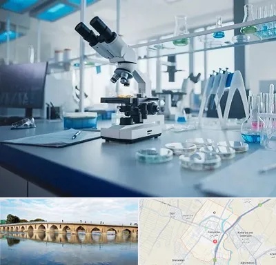 آزمایشگاه تیروئید در فلاورجان