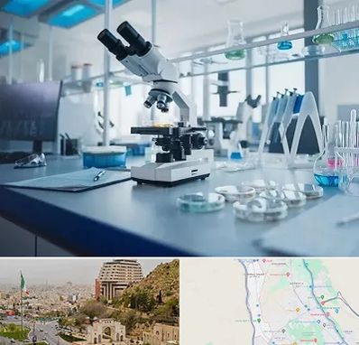 آزمایشگاه تیروئید در فرهنگ شهر شیراز