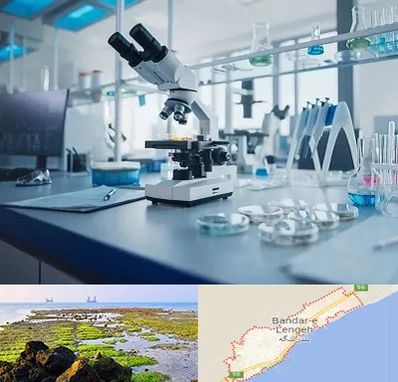 آزمایشگاه تیروئید در بندرلنگه