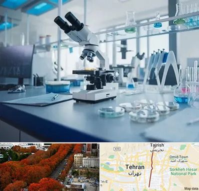 آزمایشگاه تیروئید در ولیعصر