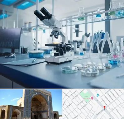 آزمایشگاه تیروئید در مصلی مشهد